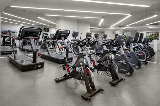 A row of stationary bikes are lined up in a gym.
