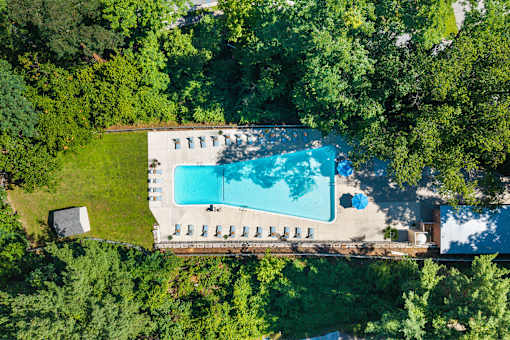 An aerial view of a swimming pool surrounded by trees.