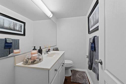 A bathroom with a toilet, sink, and a rug on the floor.