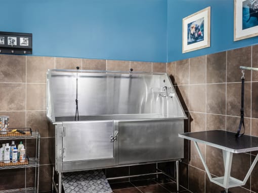 Pet spa with dog wash station at St. Marys Square Apartments, Raleigh, NC, 27605