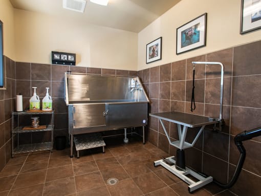 Pet Wash Area at St. Marys Square Apartments, North Carolina, 27605
