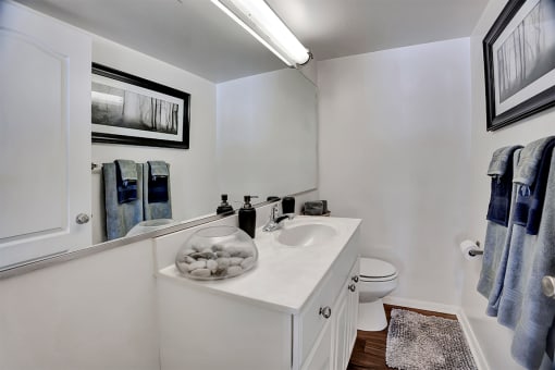1/2 Bathroom at Kenilworth at Charles Apartments, Towson