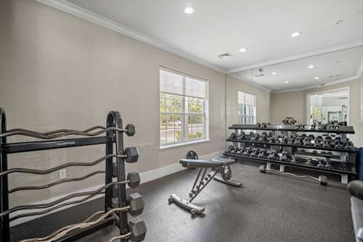 A well-lit home gym with a variety of equipment at The Grand Reserve at Tampa Palms Apartments, Florida, 33647