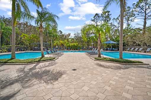 A large swimming pool surrounded by palm trees and a stone patio at The Grand Reserve at Tampa Palms Apartments, Tampa, FL, 33647