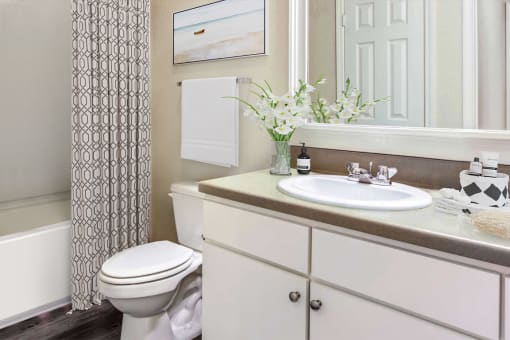 Bathroom with framed mirror at Carolina Point Apartments, Greenville