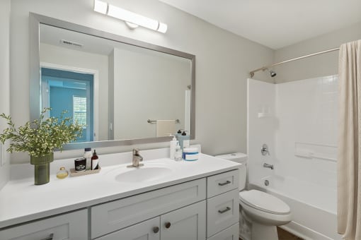 a bathroom with a large mirror at The Bluestone Apartments, South Carolina, 29910