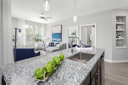 Kitchen at Elevate at Brighton Park, Summerville