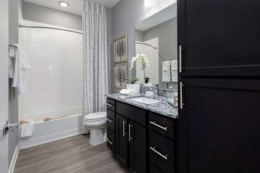 Bathroom at Elevate at Brighton Park, South Carolina