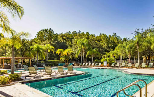 Lap Pool at The Grand Reserve at Tampa Palms Apartments, Tampa, Florida