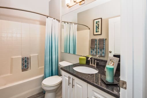 Updated Bathrooms at The Grand Reserve at Tampa Palms Apartments, Tampa, FL