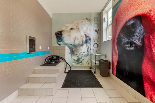 pet spa with steps and dryer at 1010 Dilworth Apartments, Charlotte, NC 28204