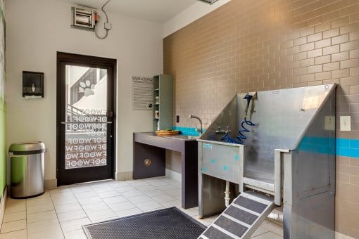 Pet spa with washing tub and exit door at 1010 Dilworth Apartments, Charlotte North Carolina