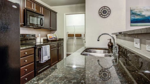 Modern Kitchen at Carolina Point Apartments, Greenville, SC, 29607