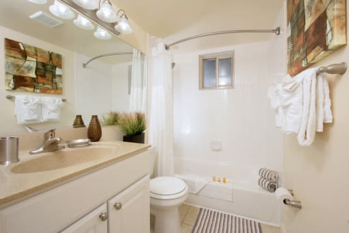 Spacious Bathroom at Cardiff Hall Apartments, Towson, Maryland