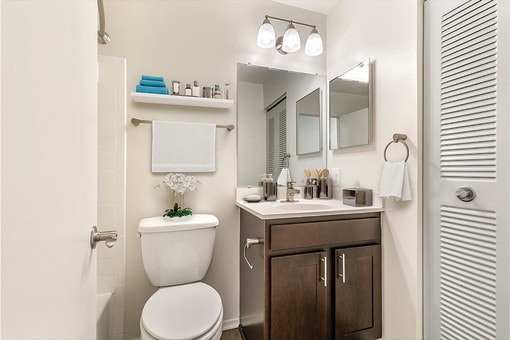Bathroom with Vanity at Westwinds Apartments, Maryland, 21403