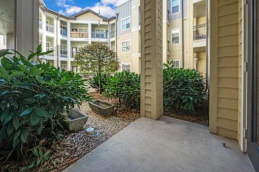 A view of a courtyard with a tree and a bench.