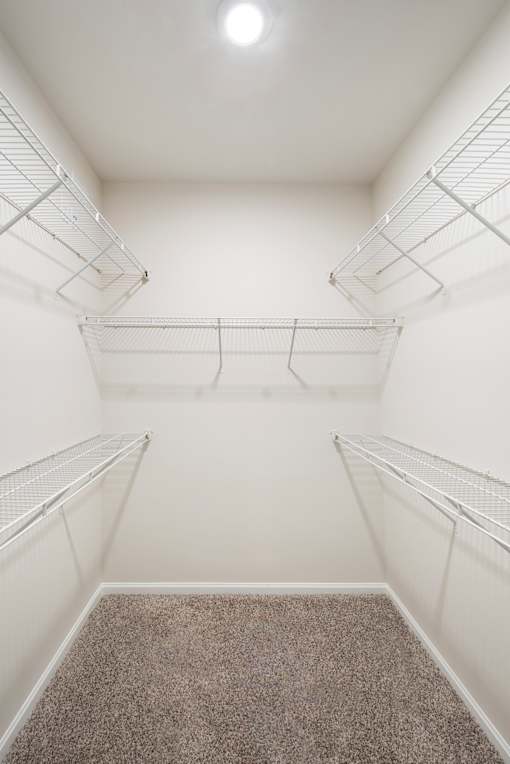 Empty walk-in closet with white walls and carpeted floor.