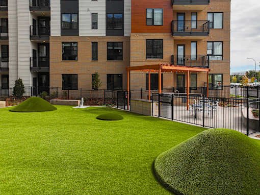A grassy area in front of a building with a black fence.