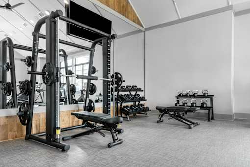 A gym with a variety of equipment including a squat rack, bench, and dumbbells.