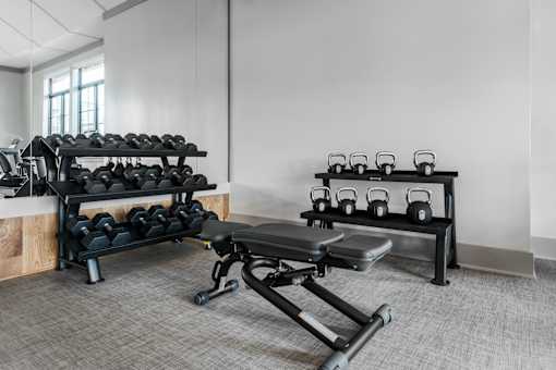 A gym with a bench, weights, and dumbbells.