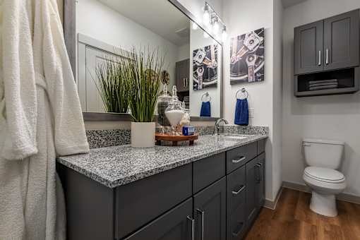 A bathroom with a white toilet and a counter with a plant on it.
