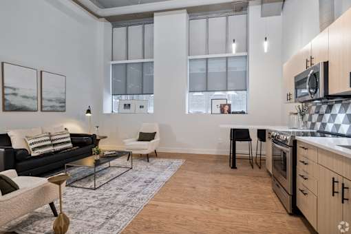 Living Room and Kitchen Area