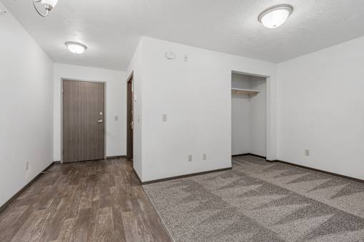 A room with a brown door and a grey carpet.