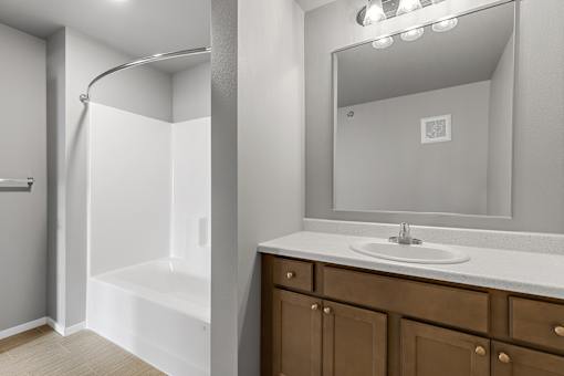 bathroom vanity and tub