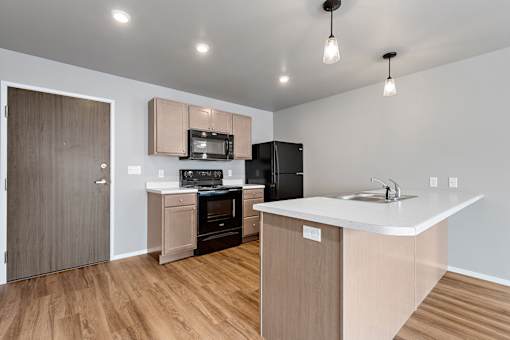kitchen with black appliances