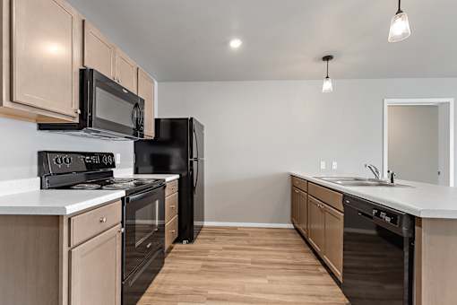 kitchen with black appliances