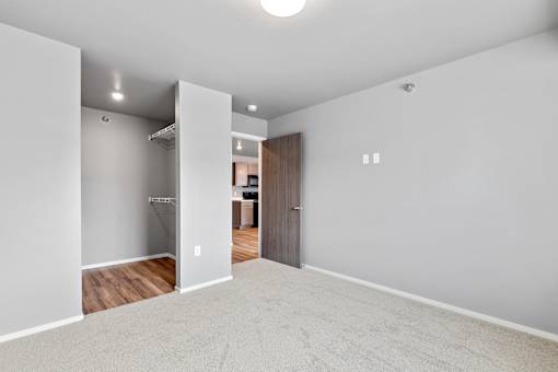 bedroom with walk in closet
