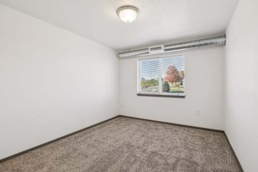 A room with a carpeted floor and a window showing a tree.