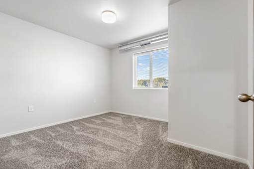 A room with a carpeted floor and a window showing a blue sky and trees outside.