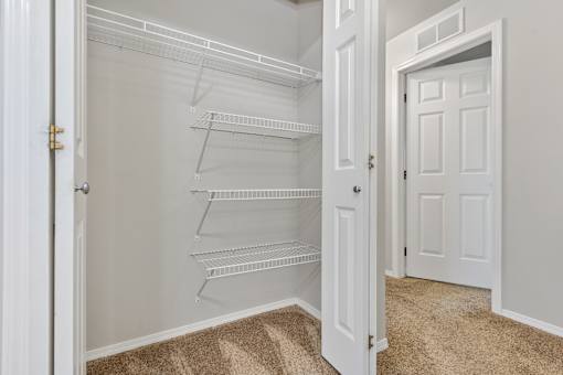 A white pantry with a carpeted floor and a white door.