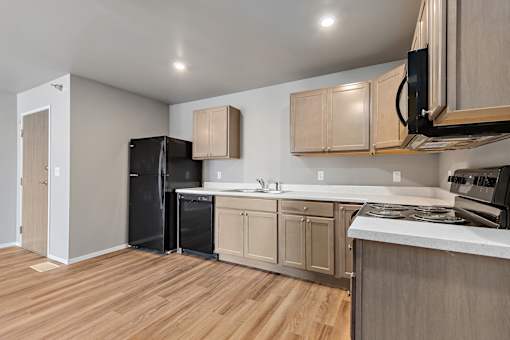 kitchen with black appliances