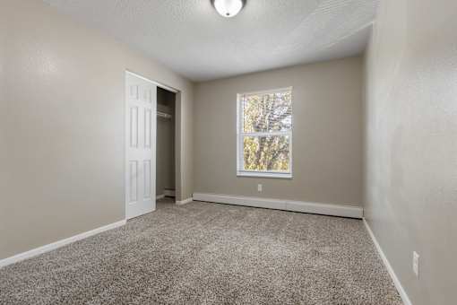 A room with a carpeted floor and a window showing trees outside.