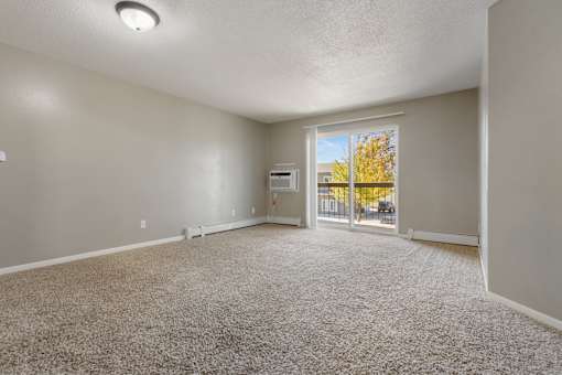 A room with a carpeted floor and a sliding glass door leading outside.