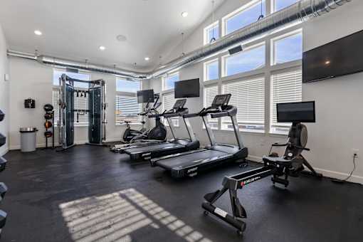 A gym with treadmills and elliptical machines.