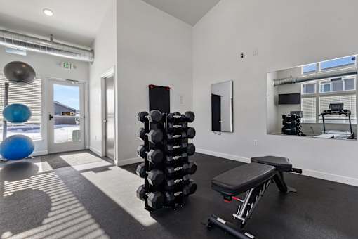 A gym with a blue ball, a bench, and a stack of weights.