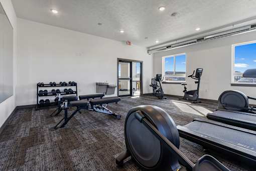 A gym with a row of dumbbells, a bench, and a treadmill.