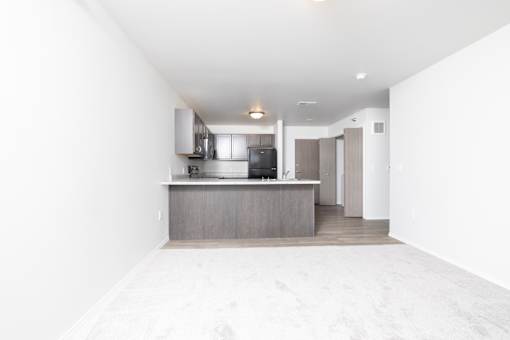 A kitchen with a counter and cabinets.
