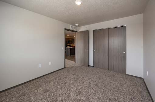 A room with carpeted floor and a closet with a door.