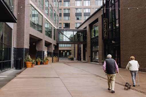 Two people walking a dog in a courtyard.