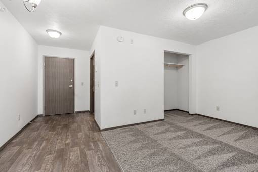 A room with a wooden floor and a brown door.