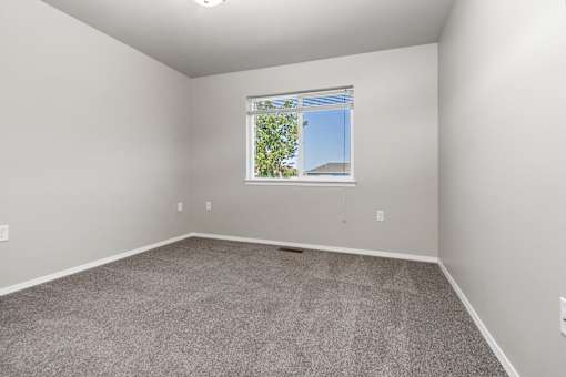 A room with a carpeted floor and a window showing a tree and a building outside.