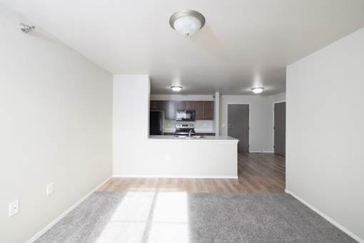 A white room with a grey carpet and a window.