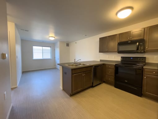 kitchen and living room