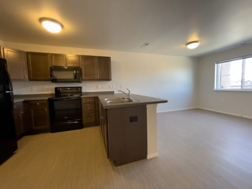 kitchen and living room