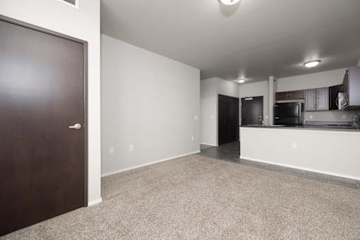 A room with a brown door and a carpeted floor.