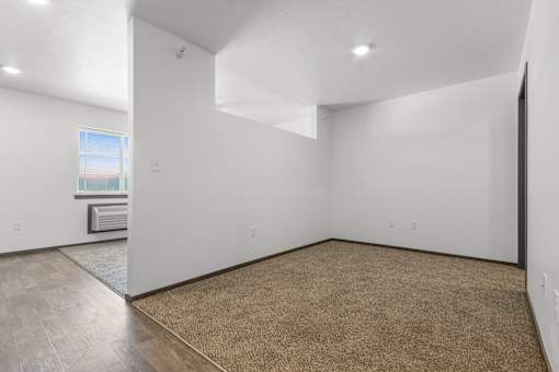 A room with a brown carpet and a window.